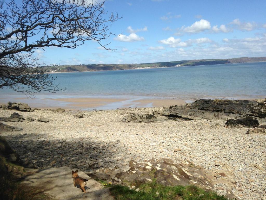 Merlewood Hotel Saundersfoot Luaran gambar